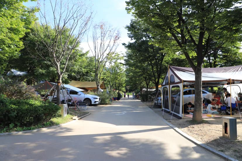 중랑가족캠핑장 사진 6