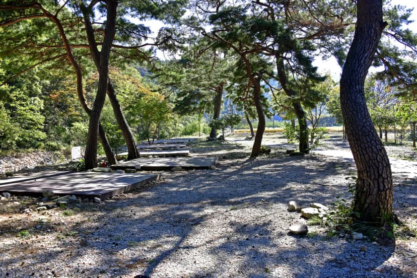 지리산반내골오토캠핑장 사진 15