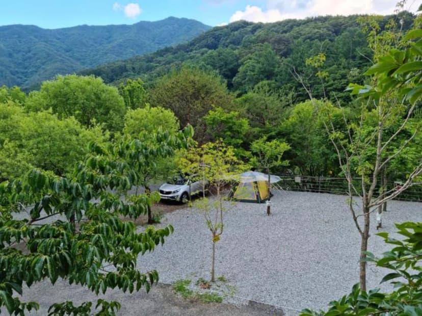 지리산천왕봉오토캠핑장 사진 2