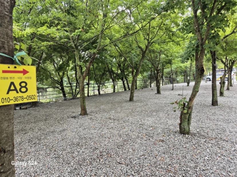 지리산천왕봉오토캠핑장 사진 18