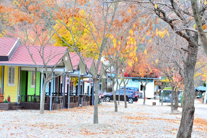 지지벨리 유명산 오토캠핑장 사진 12