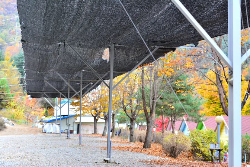 지지벨리 유명산 오토캠핑장 사진 14