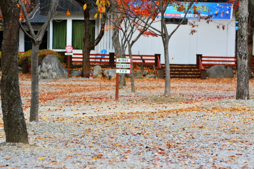 지지벨리 유명산 오토캠핑장 사진 17