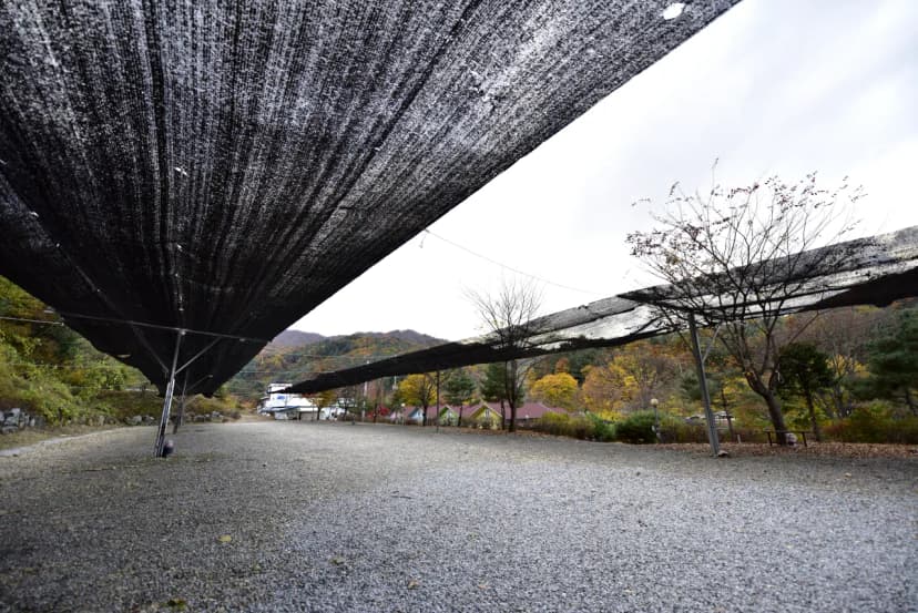 지지벨리 유명산 오토캠핑장 사진 18