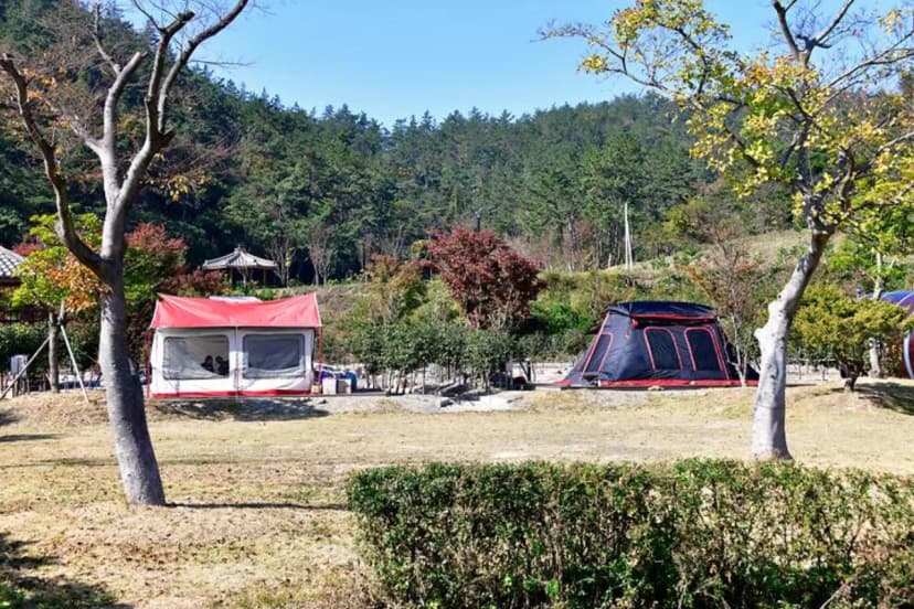 진도풍경오토캠핑장 사진 2