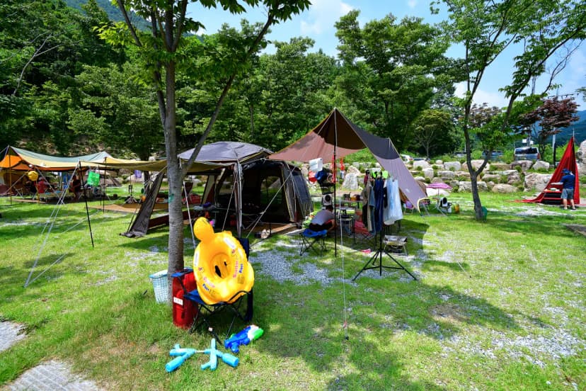 진안국제 캠핑장 사진 6