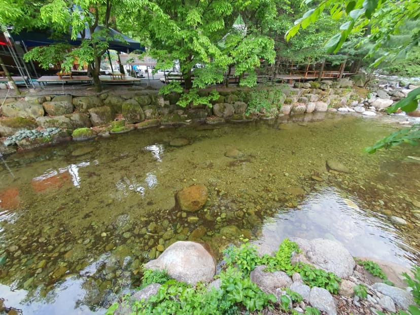 천동계곡 캠핑장 사진 13