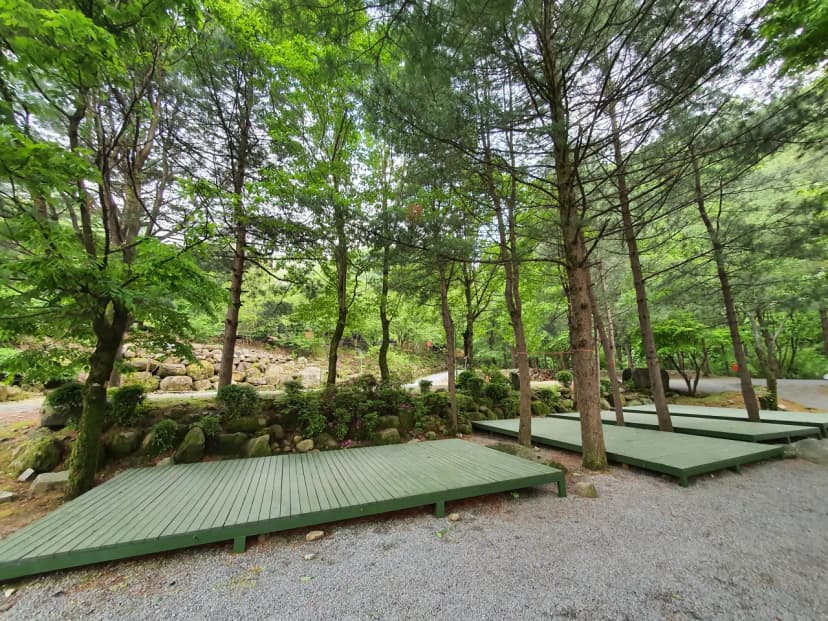 천동계곡 캠핑장 사진 19