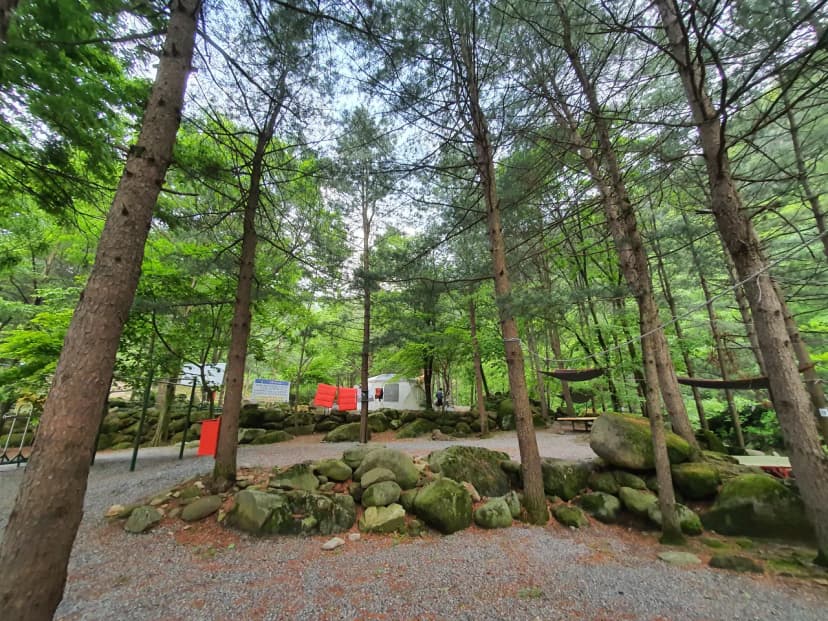 천동계곡 캠핑장 사진 20