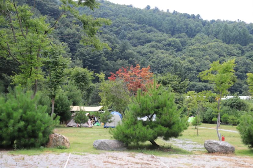 천사봉 오토 캠핑장 사진 4