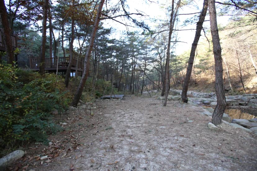청계동 솔바람야영장 사진 4