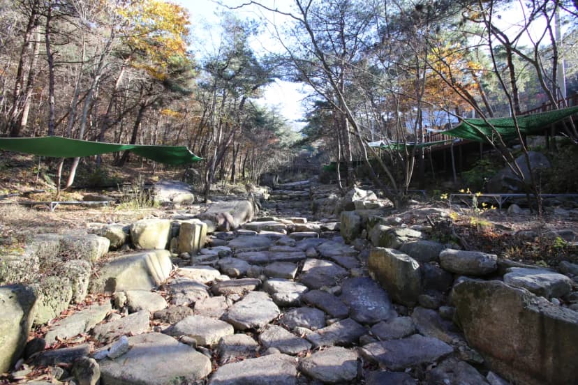 청계동 솔바람야영장 사진 5