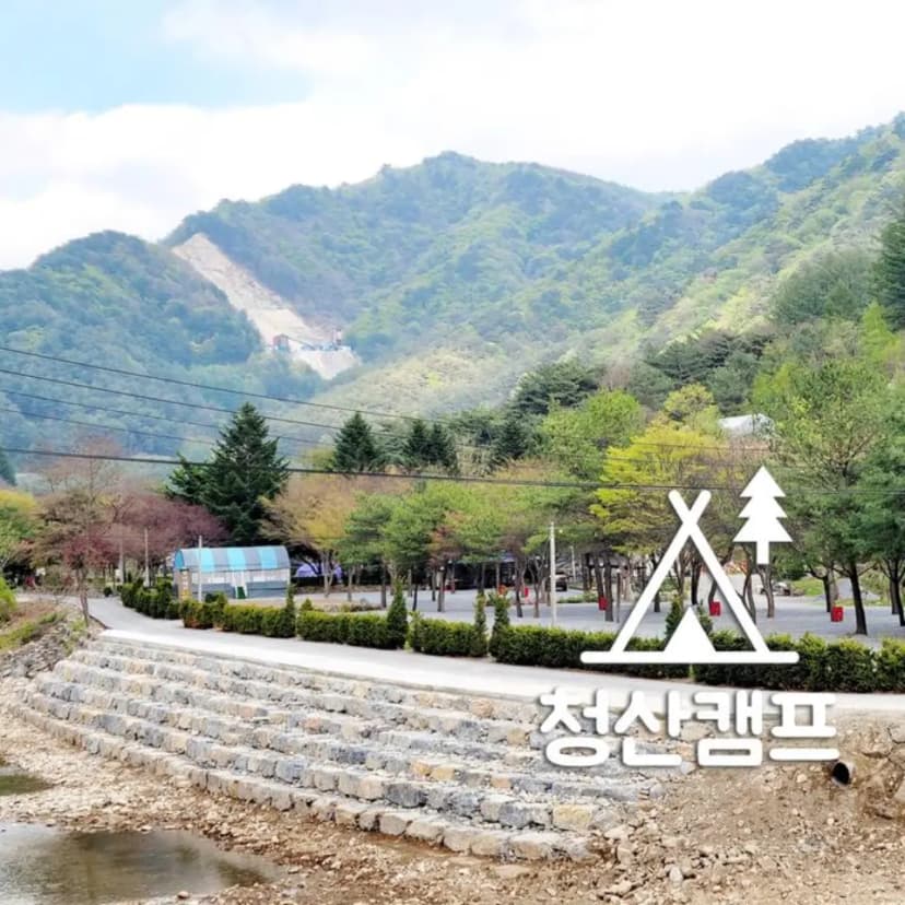 청산 캠프