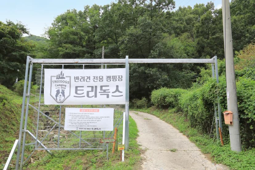 트리독스 애견전용캠핑장 사진 8