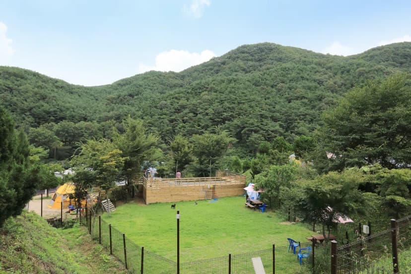 트리독스 애견전용캠핑장 사진 12