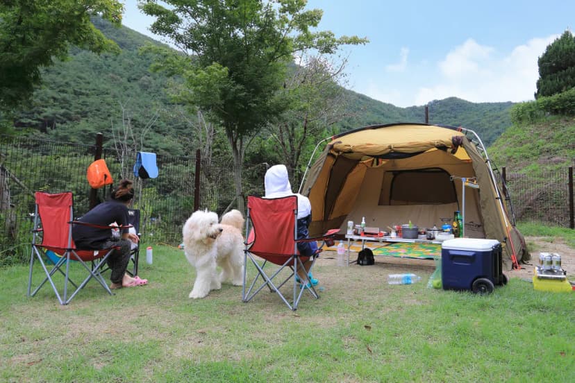 트리독스 애견전용캠핑장 사진 18