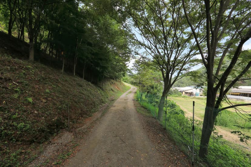 트리독스 애견전용캠핑장 사진 19