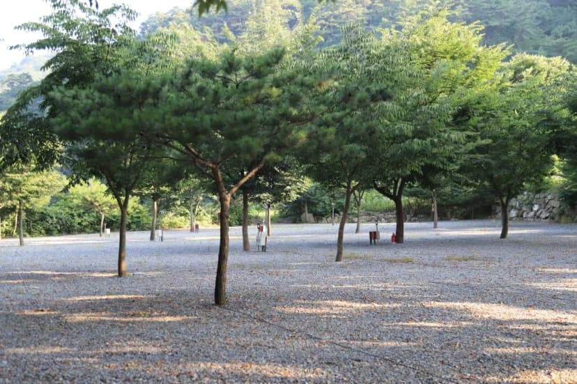 청송캠핑장 사진 5