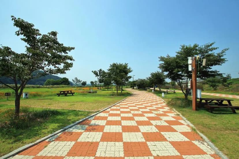 청양 동강리 오토캠핑장 사진 3