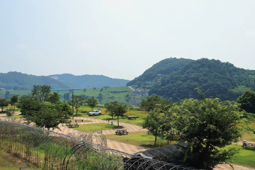 청양 동강리 오토캠핑장 사진 8