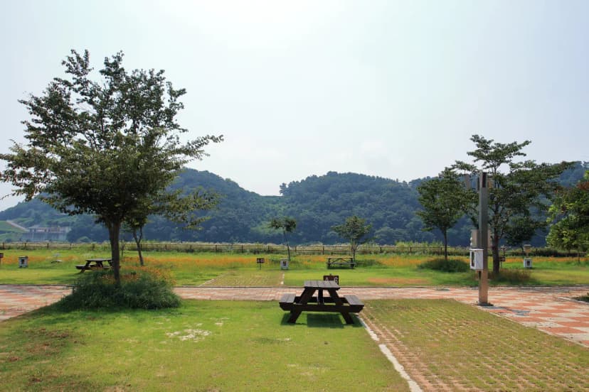 청양 동강리 오토캠핑장 사진 16