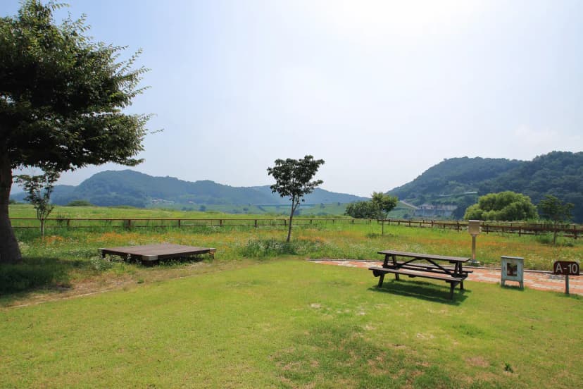 청양 동강리 오토캠핑장 사진 17