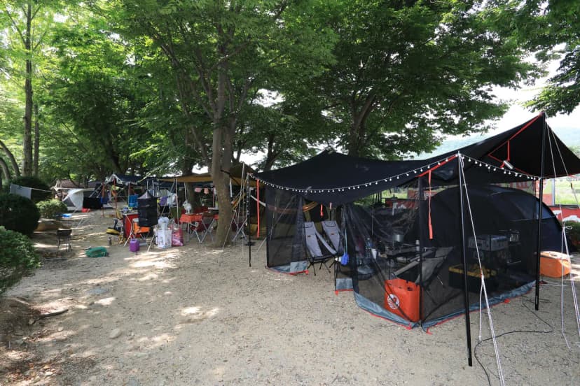 청천 화양동관광농원 초롱이캠핑장 사진 14