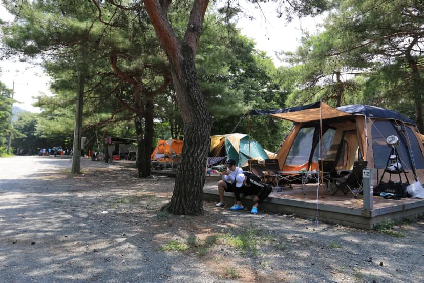 청천 화양동관광농원 초롱이캠핑장 사진 16