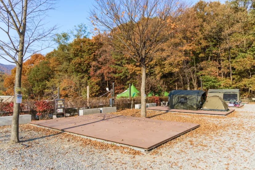 초막골생태공원 느티나무야영장 사진 20