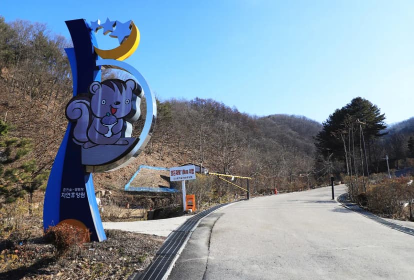 춘천숲자연휴양림 사진 6