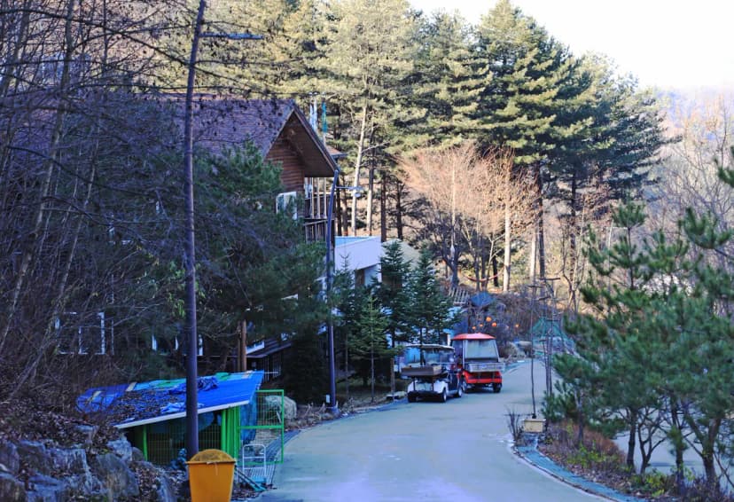 춘천숲자연휴양림 사진 10