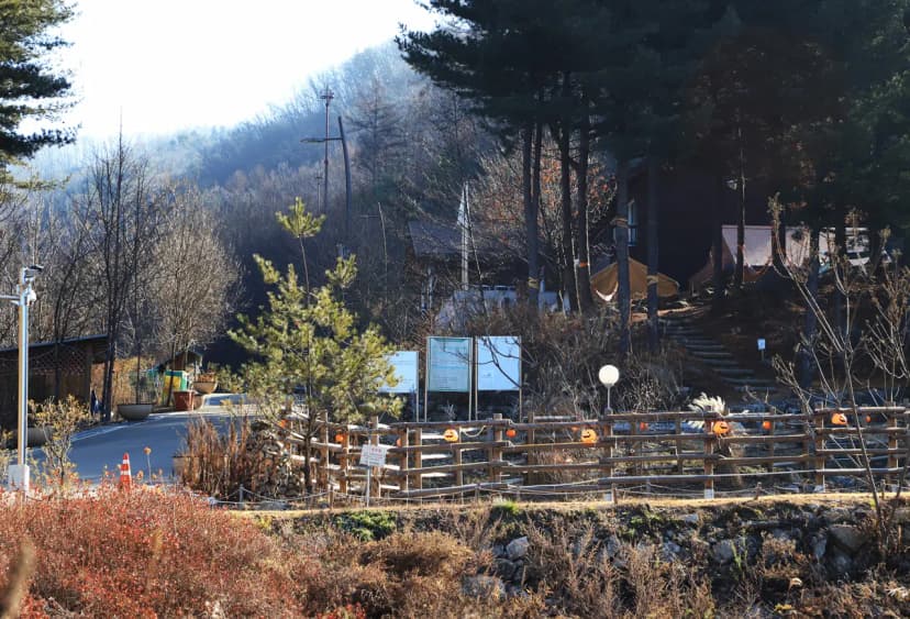 춘천숲자연휴양림 사진 12