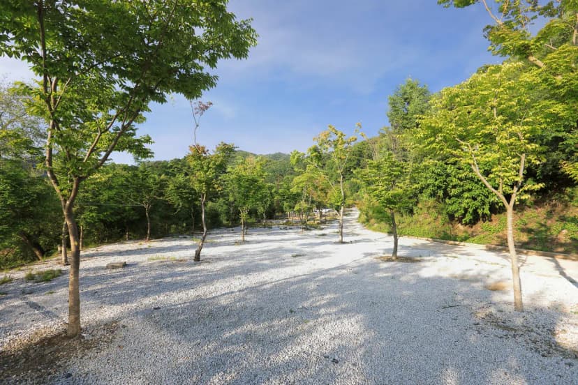 충주카누캠핑장 사진 6