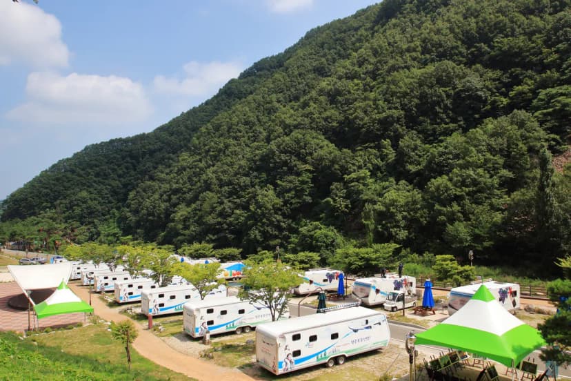치산관광지 캠핑장 사진 4