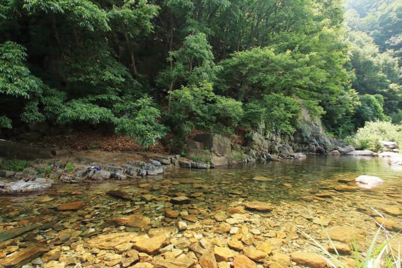 치산관광지 캠핑장 사진 13