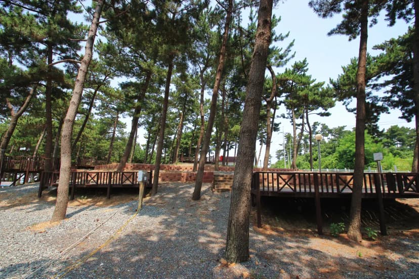 곰섬캠핑장 사진 4