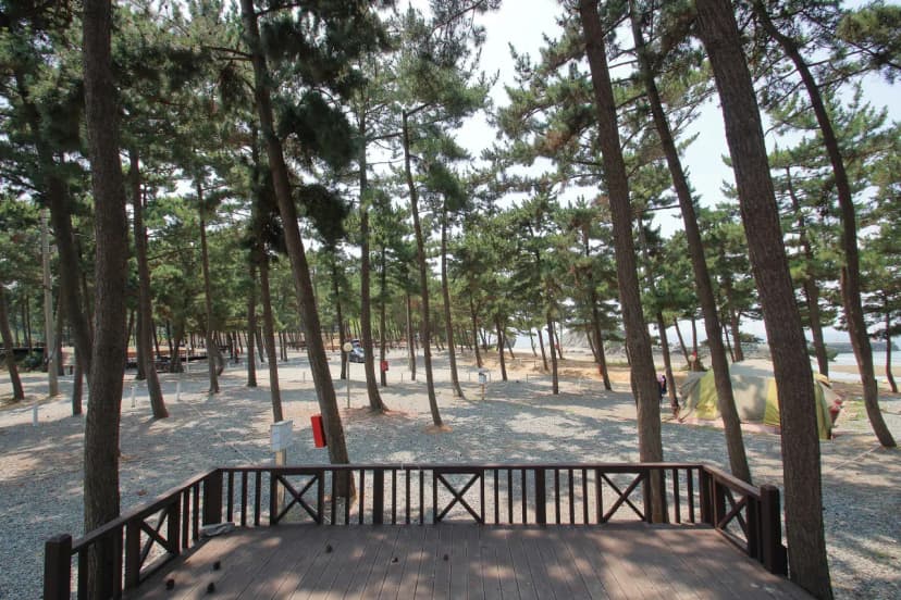 곰섬캠핑장 사진 14
