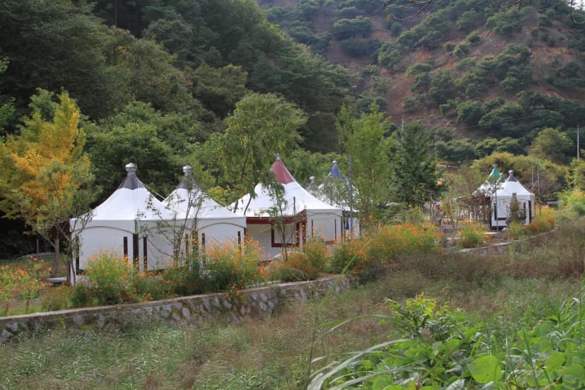 칠갑산도림휴양림캠핑장 사진 4