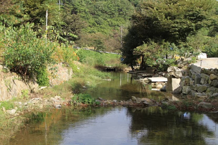 칠갑산도림휴양림캠핑장 사진 8