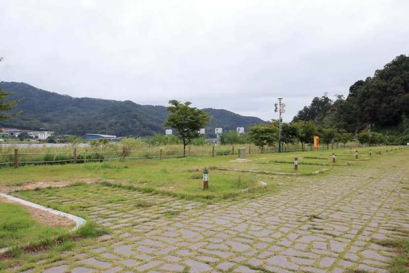 칠곡보 오토캠핑장 사진 3