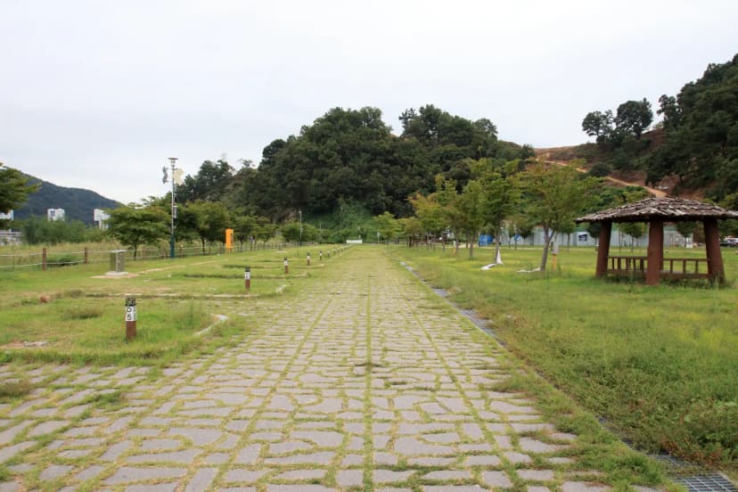 칠곡보 오토캠핑장 사진 4