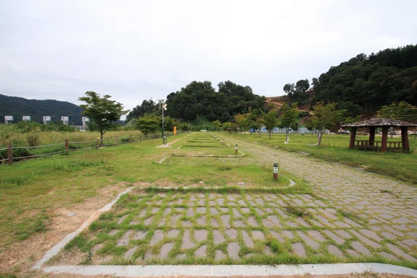 칠곡보 오토캠핑장 사진 5