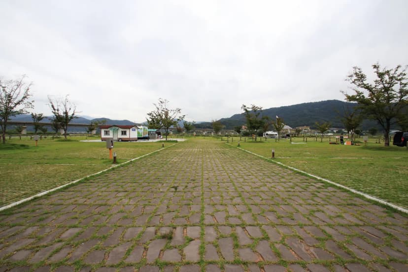 칠곡보 오토캠핑장 사진 15