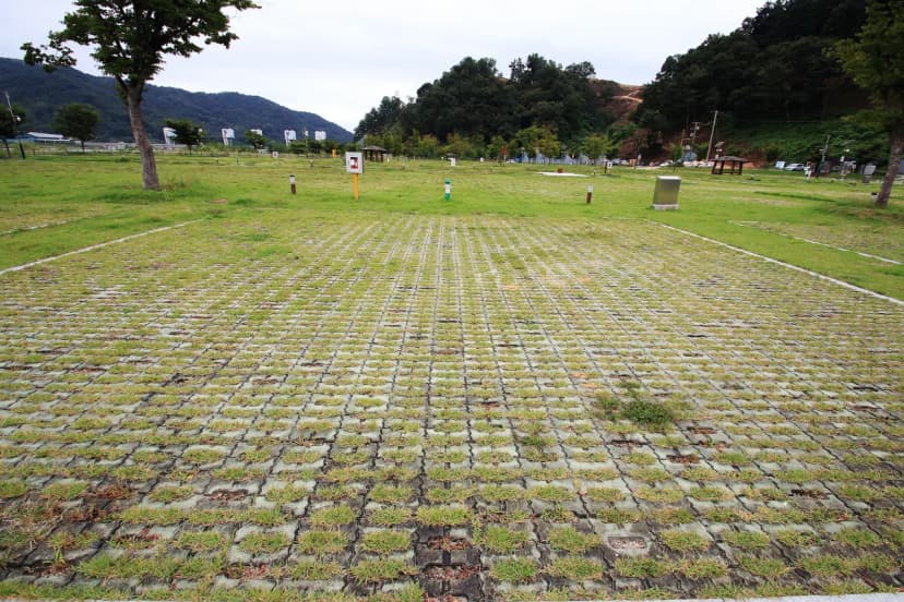 칠곡보 오토캠핑장 사진 20
