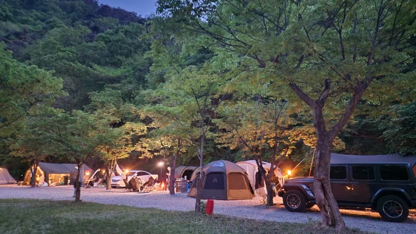 원주느린숲캠프 사진 6