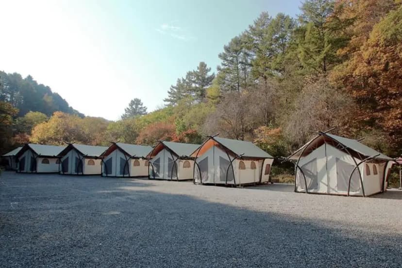 석산계곡 코코비발디글램핑 카라반 오토캠핑장
