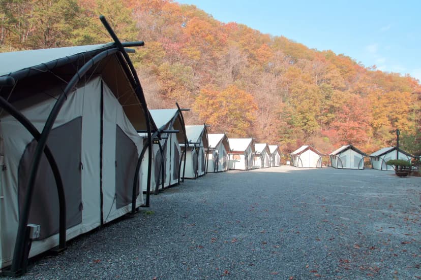 석산계곡 코코비발디글램핑 카라반 오토캠핑장 사진 10