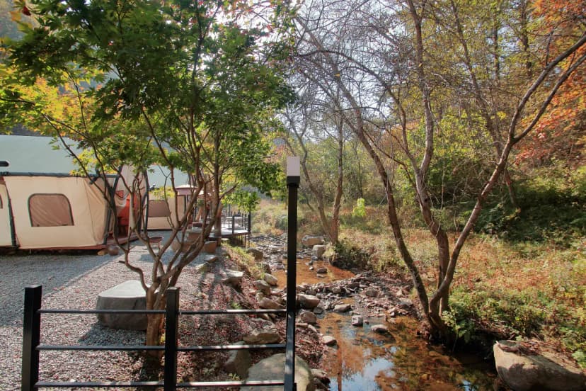 석산계곡 코코비발디글램핑 카라반 오토캠핑장 사진 17