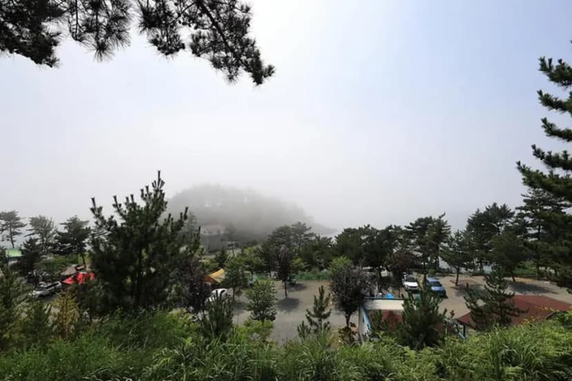 SE클럽(태안둘레길캠핑장&펜션)