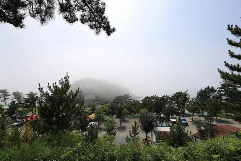 SE클럽(태안둘레길캠핑장&펜션) 사진 3